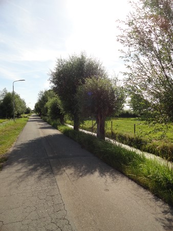 Medium property photo - Wilgenweg 32, 2641 NX Pijnacker