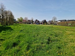 20260409_114707.jpg