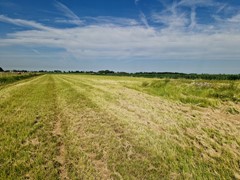 20260620_101950.jpg