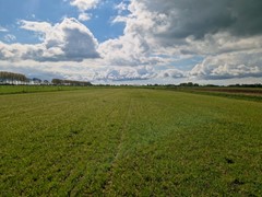 20260420_160733.jpg