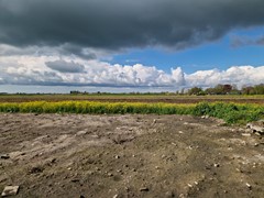 20260420_160329.jpg