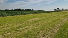 20260620_102253.jpg