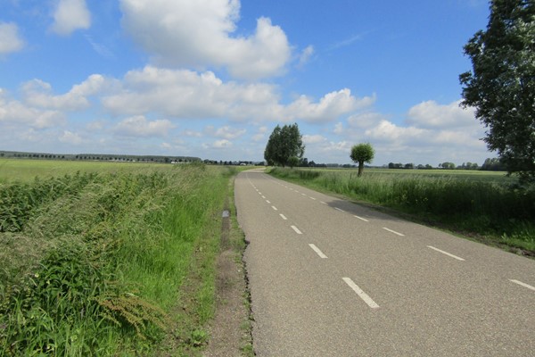 Verkocht: Cultuurgrond Biesheuvelweg, 4261TH Wijk en Aalburg