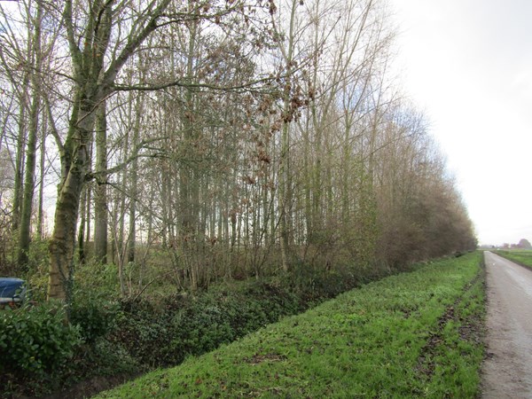 Verkocht: Schenkeldijk, 4271LM Dussen