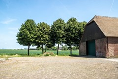 bs25062554048.jpg