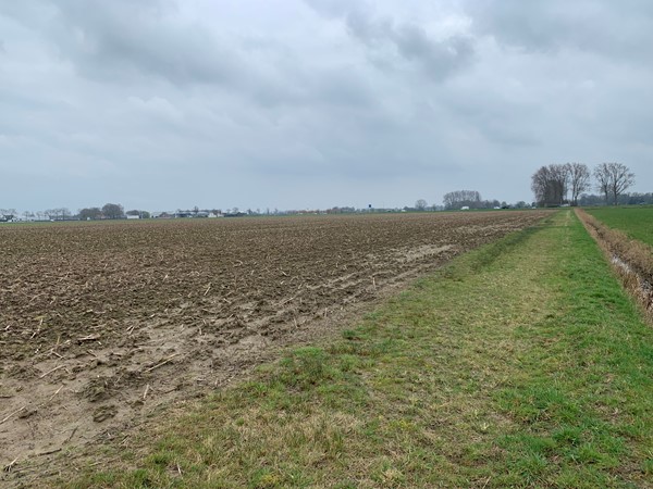 Te koop: Cultuurgrond Veensesteeg, 4264KG Veen