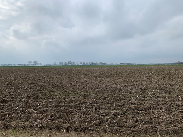 Medium property photo - Cultuurgrond Veensesteeg, 4264 KG Veen