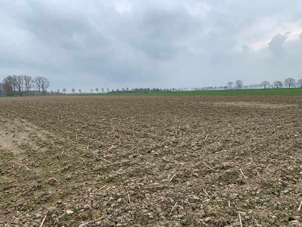 Medium property photo - Cultuurgrond Veensesteeg, 4264 KG Veen