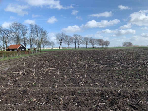 Te koop: Cultuurgrond Biesheuvelweg, 4261TH Wijk en Aalburg