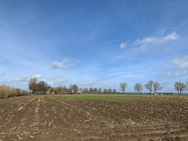 Medium property photo - Cultuurgrond Biesheuvelweg, 4261 TH Wijk en Aalburg