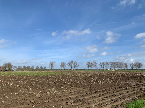 Medium property photo - Cultuurgrond Biesheuvelweg, 4261 TH Wijk en Aalburg