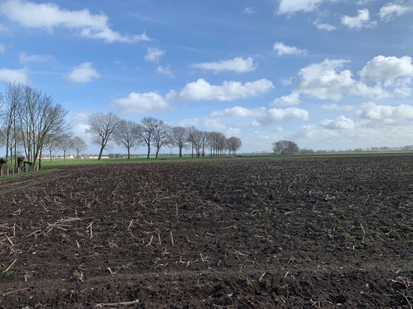 Medium property photo - Cultuurgrond Biesheuvelweg, 4261 TH Wijk en Aalburg