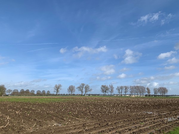 Medium property photo - Cultuurgrond Biesheuvelweg, 4261 TH Wijk en Aalburg