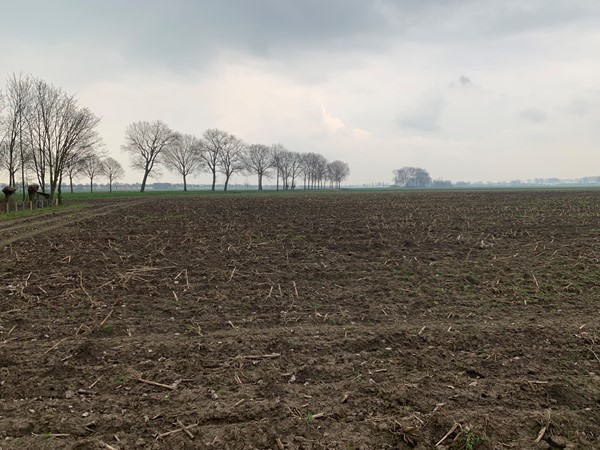 Medium property photo - Cultuurgrond Biesheuvelweg, 4261 TH Wijk en Aalburg