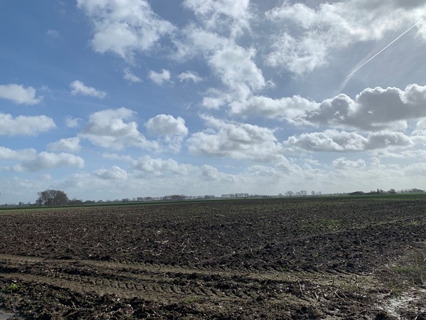 Medium property photo - Cultuurgrond Biesheuvelweg, 4261 TH Wijk en Aalburg