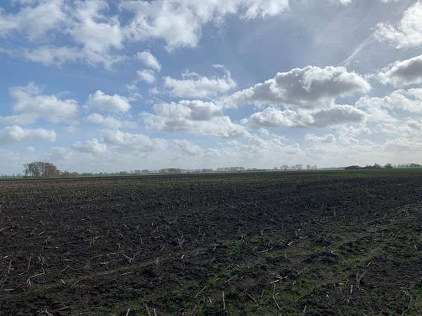 Medium property photo - Cultuurgrond Biesheuvelweg, 4261 TH Wijk en Aalburg