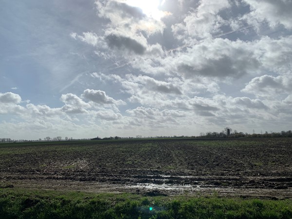 Medium property photo - Cultuurgrond Biesheuvelweg, 4261 TH Wijk en Aalburg