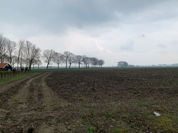 Medium property photo - Cultuurgrond Biesheuvelweg, 4261 TH Wijk en Aalburg