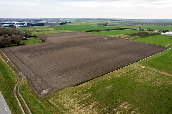 Medium property photo - Cultuurgrond Hoge Maasdijk, 4281 NJ Andel