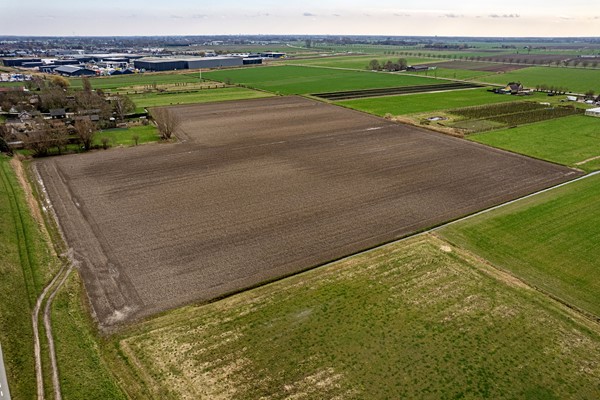 Medium property photo - Cultuurgrond Hoge Maasdijk, 4281 NJ Andel