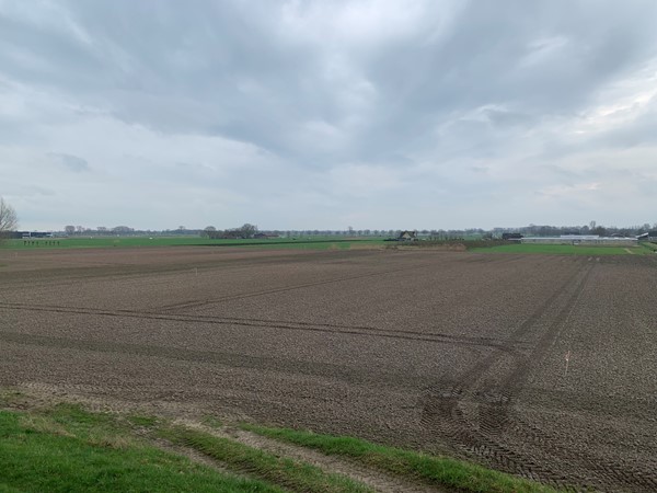Medium property photo - Cultuurgrond Hoge Maasdijk, 4281 NJ Andel