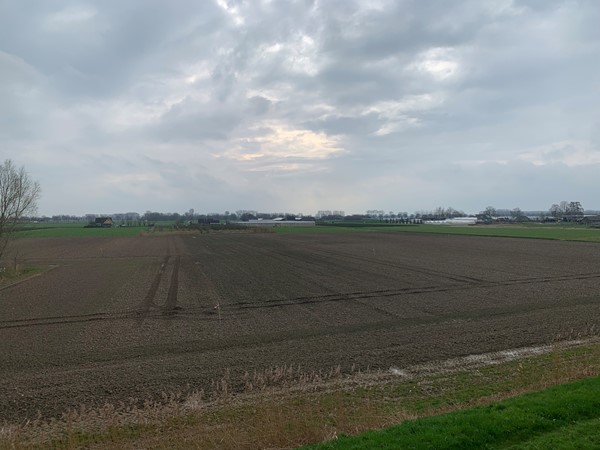 Medium property photo - Cultuurgrond Hoge Maasdijk, 4281 NJ Andel