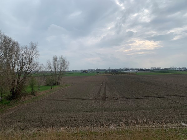 Medium property photo - Cultuurgrond Hoge Maasdijk, 4281 NJ Andel