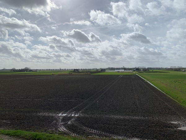 Medium property photo - Cultuurgrond Hoge Maasdijk, 4281 NJ Andel