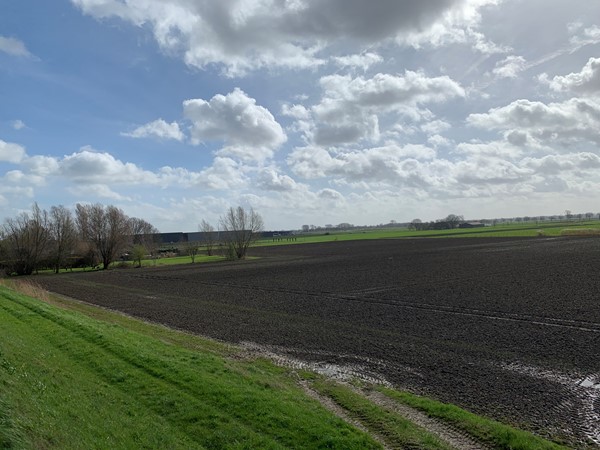 Medium property photo - Cultuurgrond Hoge Maasdijk, 4281 NJ Andel