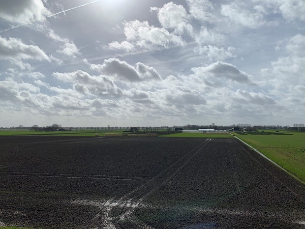 Medium property photo - Cultuurgrond Hoge Maasdijk, 4281 NJ Andel