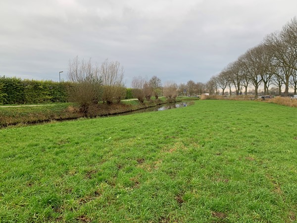 Medium property photo - Doornseweg, 4255 GZ Nieuwendijk