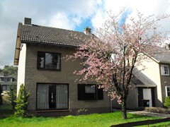 DSCF7403.JPG