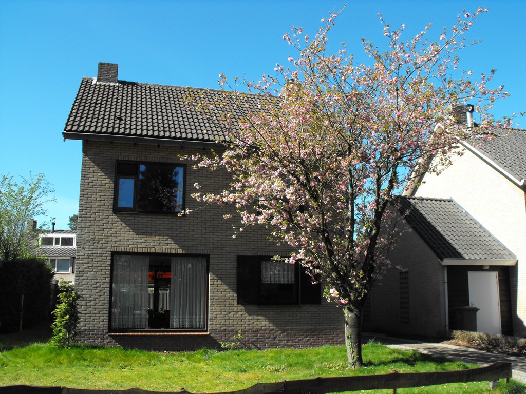 DSCF6186.JPG