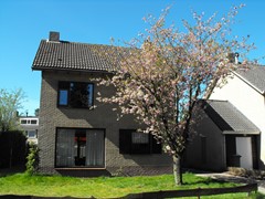DSCF6186.JPG