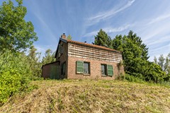 bs26061875567.jpg