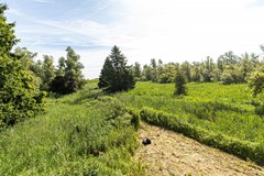 bs26061875597.jpg