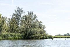 bs26061875647.jpg