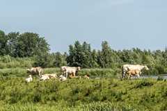 bs26061875758.jpg