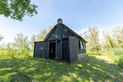 bs26061875615.jpg