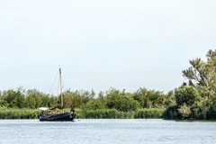 bs26061875469.jpg