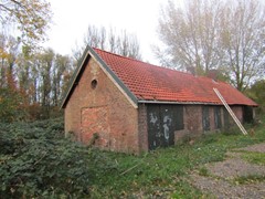 IMG_6886.JPG