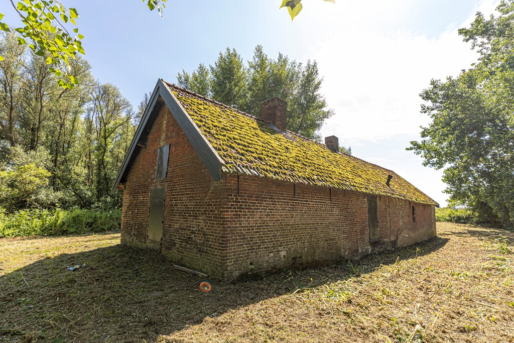 bs26061875774.jpg
