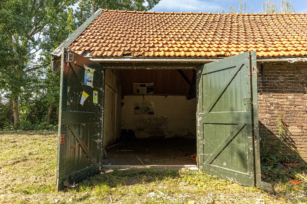 bs26061875810.jpg