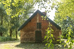 bs26061875816.jpg