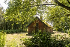 bs26061875815.jpg