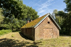 bs26061875761.jpg