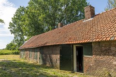 bs26061875769.jpg