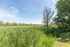 bs26061875637.jpg