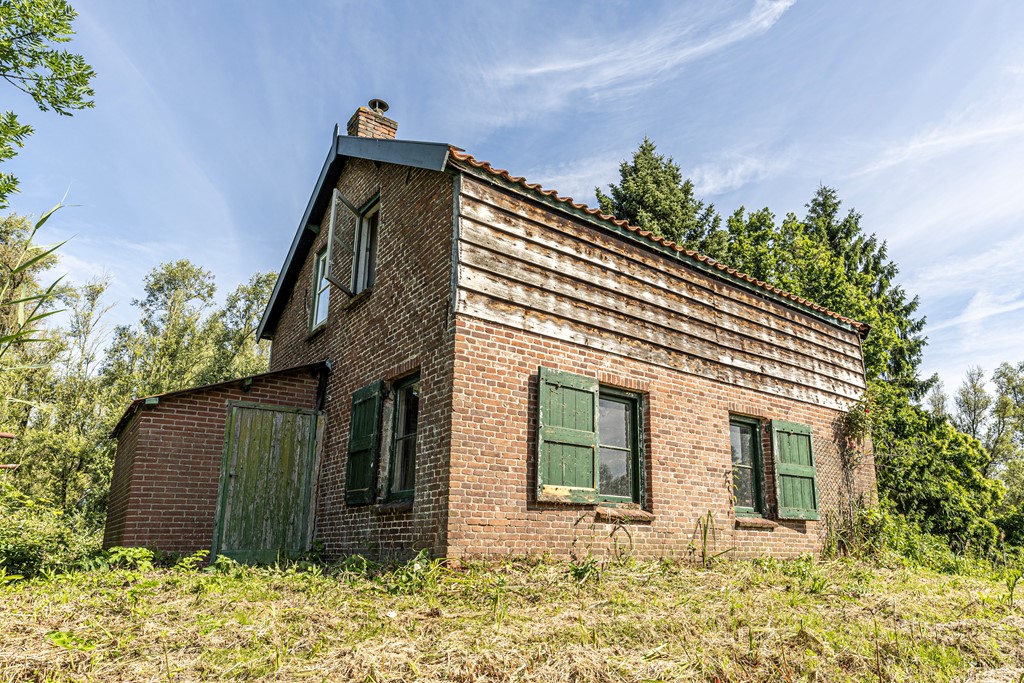 bs26061875564.jpg