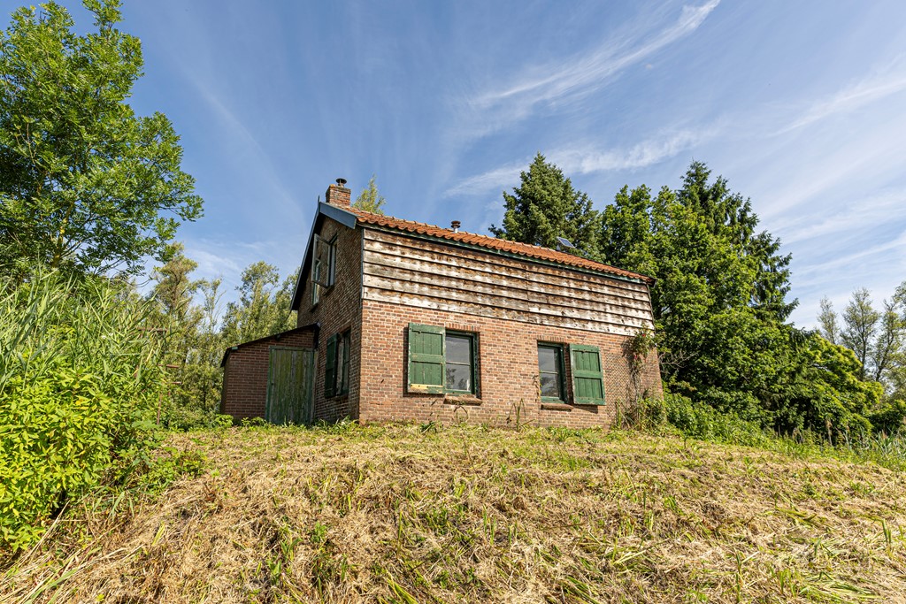 bs26061875567.jpg